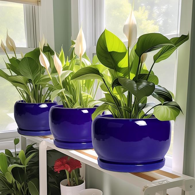 SQOWL 8 Inch Plant Pot - Ceramic Planter for Indoor Plants Outdoor, Ceramic Flower Pot with Drainage Hole and Saucer, Modern Round Planter, Bathroom Decor, Gifts for Plant Lovers, Blue SQOWL