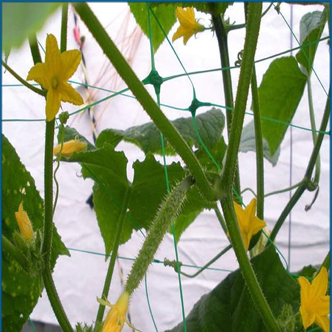 Green Polypropylene Garden Trellis Netting 6.5x100 ft, Heavy Duty Plant Support Net for Climbing Vegetables, Fruits & Flowers HHTHH