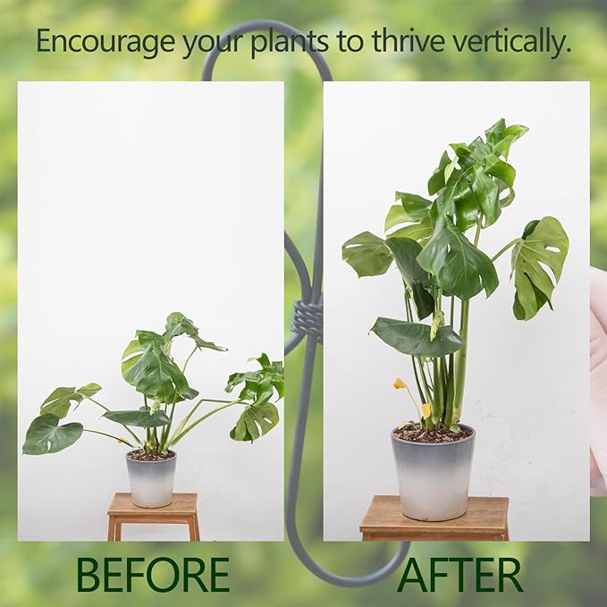 Monstera Plant Stem Support 5 Pcs - 7.5” Indoor Plant Stabilizer Holder for Monstera & Climbing Plants - Durable, Lightweight, Easy to Use for Optimal Growth & Stability - Home Décor Friendly Yohsnor
