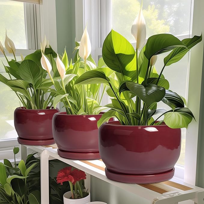 SQOWL Ceramic Planter - 8 Inch Plant Pot with Drainage Hole and Saucer, Round Planter for Indoor Outdoor Plants, Modern Decorative Flower Pots, Home Decor, Plant Lover Gifts, Red SQOWL