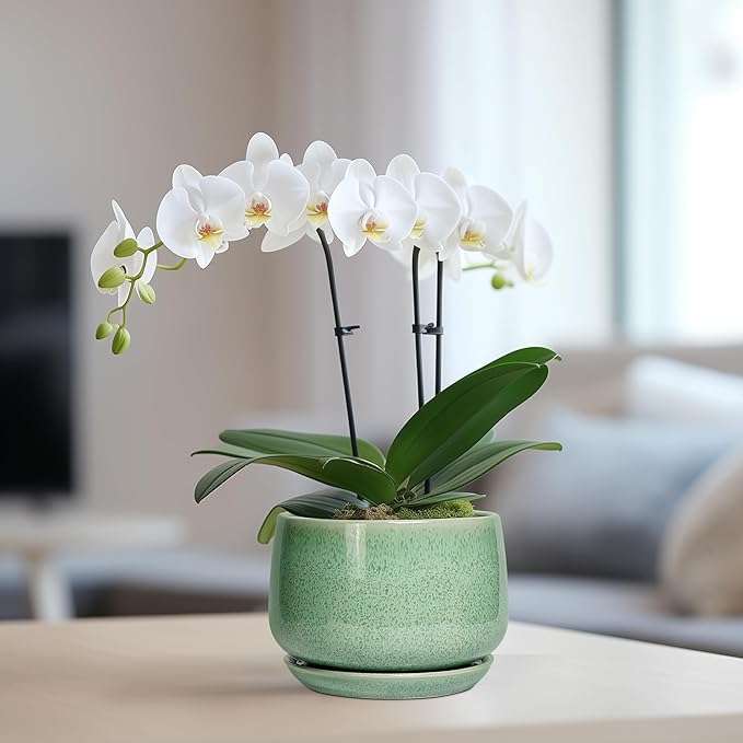 G EPGardening Ceramic Pots for Plants - 6 Inch Plant Pot with Drainage Hole and Saucer, Modern Ceramic Planter for Indoor Outdoor, Round Flower Planter, Gifts for Plants Lovers, Home Decor, Green GEPGardening