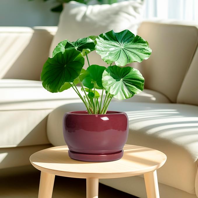 SQOWL Ceramic Planter - 8 Inch Plant Pot with Drainage Hole and Saucer, Round Planter for Indoor Outdoor Plants, Modern Decorative Flower Pots, Home Decor, Plant Lover Gifts, Red SQOWL
