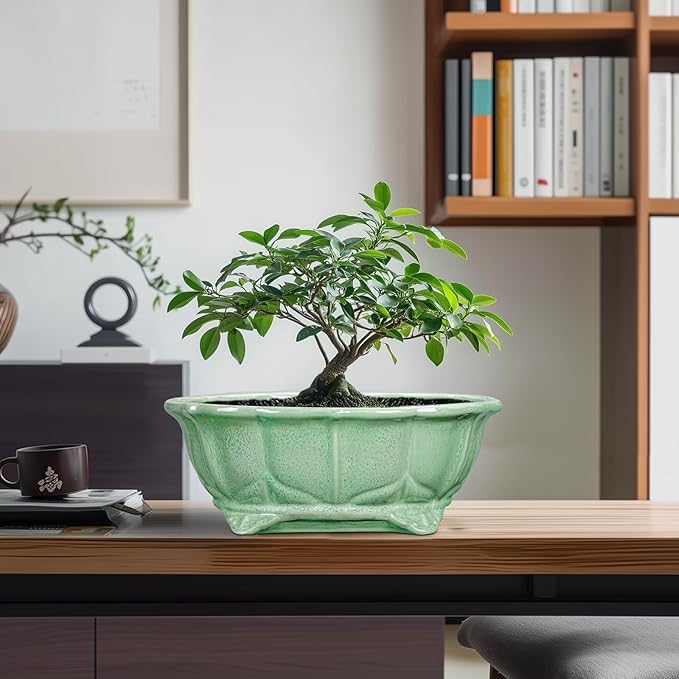 Bonsai Pots 11 Inch - Ceramic Succulent Pots with Drainage Hole, Oval Planter for Indoor Outdoor, Decorative Ceramic Flower Pot, Home Garden Room Decor, Plant Lover Gifts, Green Teagas