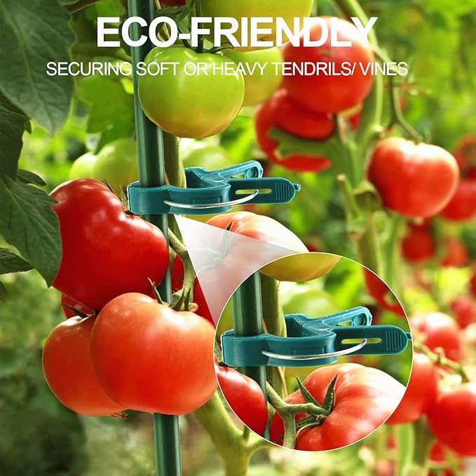 30 Pcs trumpet 1 inch Plant Support Clips,Flower and Vine,Garden Tomato Plant Support Clips for Supporting Stems,Vines Grow Upright Climbing,Tool for Straightening,Tomato Cage,Trellis. Yinghezu