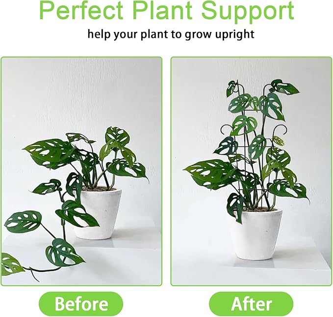 Plant Trellis for Potted Plants 2p, Larger 23in Garden Trellis for Climbing Plants Indoor Outdoor, Rustproof House Plant Support Stakes for Pothos Hoya Ivy Flower Xeeol