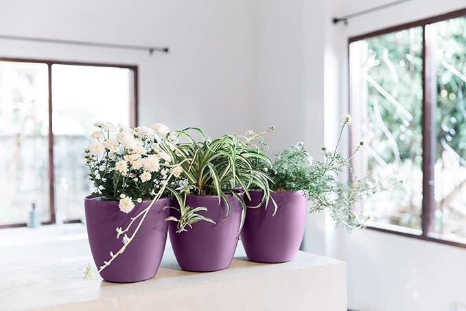 GARDENIX DECOR Self Watering Pots for Indoor Plants 3 Pack - Flower Pot with Water Level Indicator for Plants, Grow Tracking Tool - Self Watering Planter Plant Pot - Coco Coir - Purple Rootora