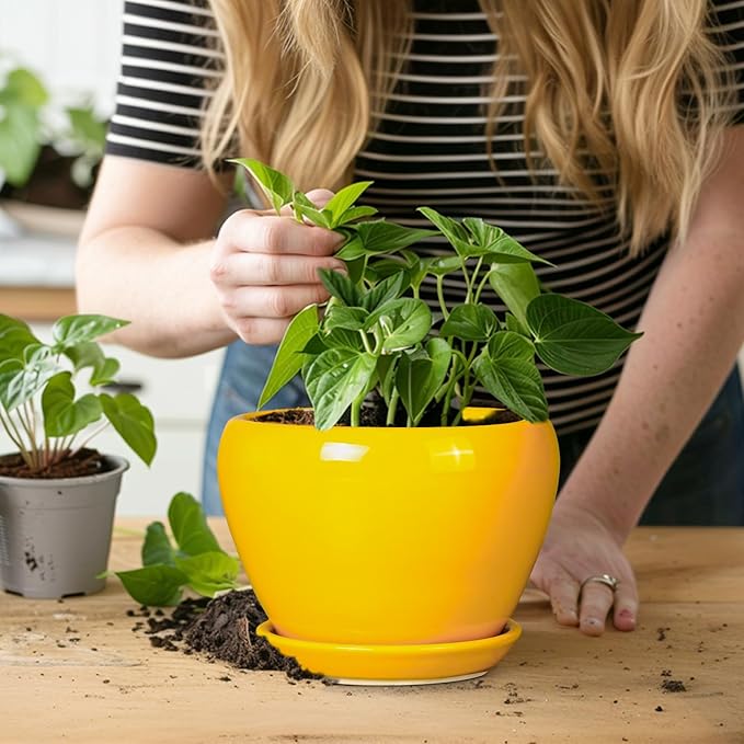 Ceramic Pot for Plants - 6 Inch Plant Pot Glaze Modern Decorative Round Planter with Drainage Hole and Saucer for Home Patio Room Office House Decor, Yellow Ceramicfor