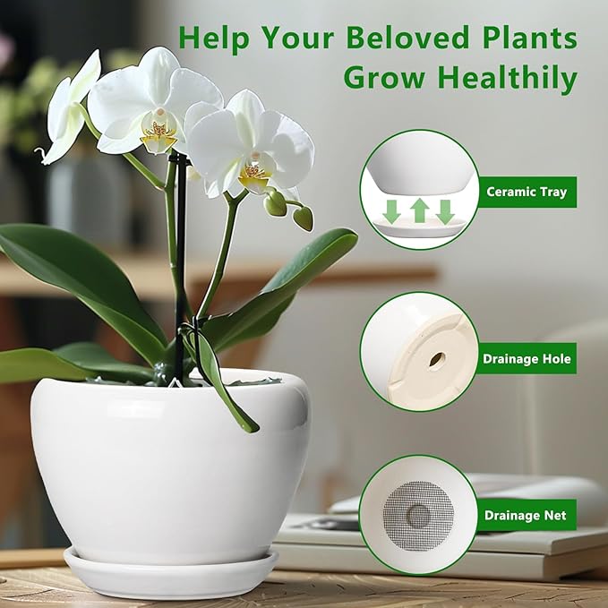 Ceramic Pot for Plants - 6 Inch Plant Pot for Succulent Plants, Glaze Modern Round Planter with Drainage Hole and Saucer, Gifts for Plant Lovers, Home Office Patio Room Decor, White Ceramicfor