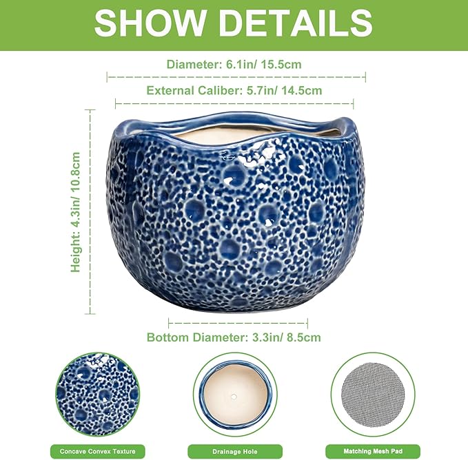 Orchid Pot - 6 Inch Ceramic Plant Pot for Indoor Outdoor, Round Unique Planters with Drainage Hole, Modern Round Decorative Flower Pots, Home Decor, Gifts for Plant Lovers, Blue Thirtypot