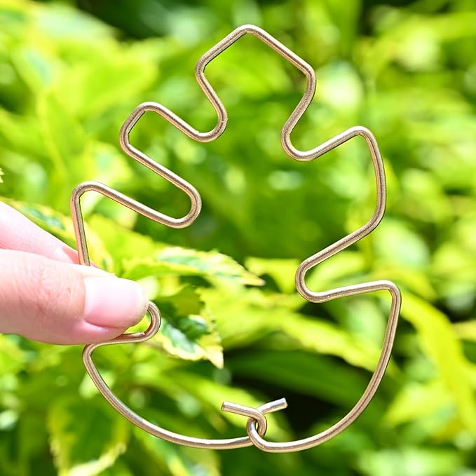 Monstera Plant Stem Support - 5 Piece Set, 4.13x2.95in Durable Leaf Holder & Fishbone Cactus Stake for Healthy Growth of Climbing Plants - Easy to Use Indoor Plant Decor Yohsnor