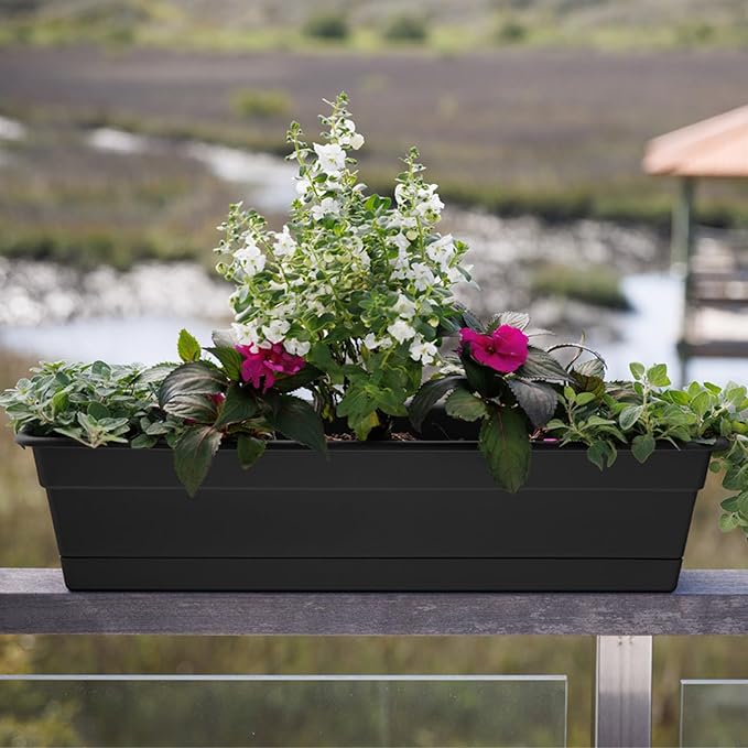Bloem Dura Cotta 18" Black Resin Rectangle Window Box Planter with Saucer Tray for Indoor and Outdoor Gardening Bloem