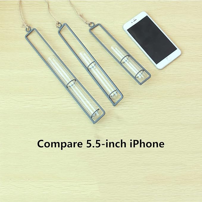3 Pieces Hanging Glass Hydroponic Planter Transparent Test Tube Plant Vase Terrarium Container for Indoor Outdoor Modern Home Decoration (Black) AQRICHFOX