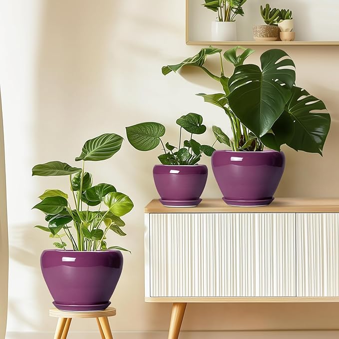 Ceramic Pots for Plants 6 Inch - Ceramic Plant Pots with Drainage Hole and Saucer, Glaze Round Planter for Succulent Plants, Gifts for Plant Lovers, Garden Home Decor, Purple Ceramicfor