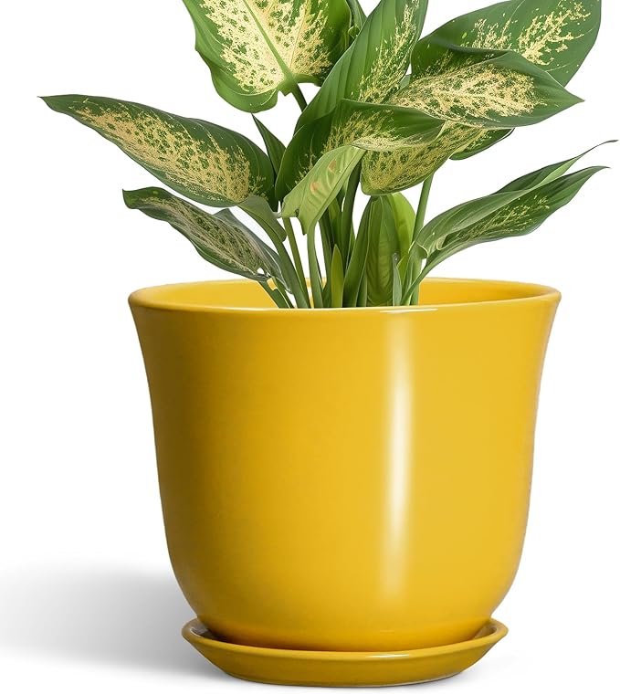 Ceramic Plant Pots - 5.6 Inch Planter with Drainage Hole and Saucer, Round Small Plant Pot for Indoor Outdoor, Modern Flower Succulent Orchid Pot, Desk Decor, Plant Lover Gifts, Yellow SUNPOTFOR