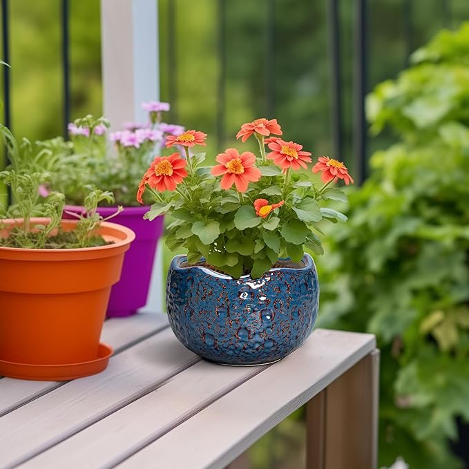 6 Inch Plant Pot - Ceramic Pots for Plants with Drainage Hole, Round Orchid Pot, Unique Planter for Indoor Outdoor, Modern Decorative Flower Pots, Room Decor, Plant Lovers Gifts, Retro Blue Thirtypot