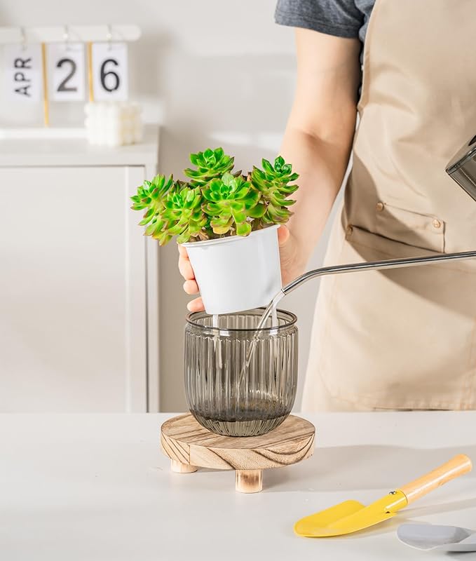 Melphoe Self Watering Pots for Indoor Plants Planter, 4.3 Inch 2 Pack Planters Self Watering Plant Pots for Flower, Houseplants, Succulent, African Violets and Cactus with Drainage Melphoe