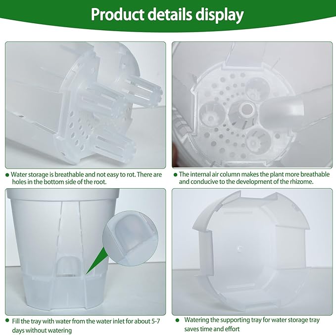 Cdd's Path 5-Pack 6 Inch Self Watering Naked Root Planter Pots with Drainage Holes & Reservoir, Plastic Planters with Air Pipes for Indoor Outdoor Plants，Clear Rootora