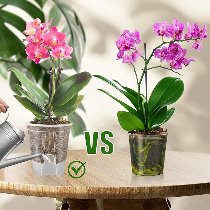 Cdd's Path 5-Pack 6 Inch Self Watering Naked Root Planter Pots with Drainage Holes & Reservoir, Plastic Planters with Air Pipes for Indoor Outdoor Plants，Clear Rootora