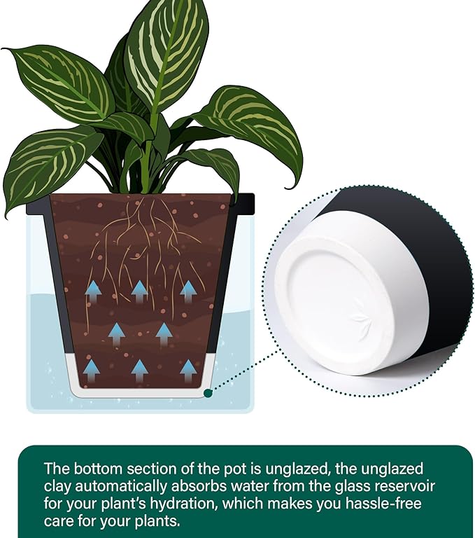 D'vine Dev 10 Inch Design Self Watering Planter for Indoor Plants, Black Terracotta Pot with Cylinder Glass Cup, 37-X-D-3 DvineDevPlanterPotsandStand