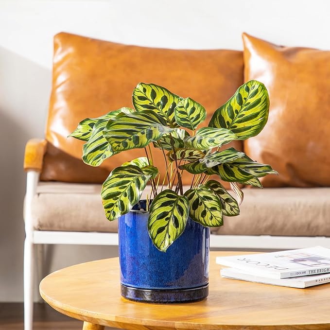 vancasso Ceramic Plant Pots, 3 Piece Planters for Indoor Plants, 4.25+5.25+6.25 Inch Flower Pots with Drainage, Plant Pots Indoor for Succulent, Pothos, Snake Plant and Money Tree, Etc (Blue) vancasso