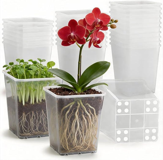 Nursery Pots 6 Inch 40 Pcs, Plastic Seed Starting Pot with Drainage Holes, Sturdy Seedling pots for Planting, Cuttings, Clear BTPLASTIK