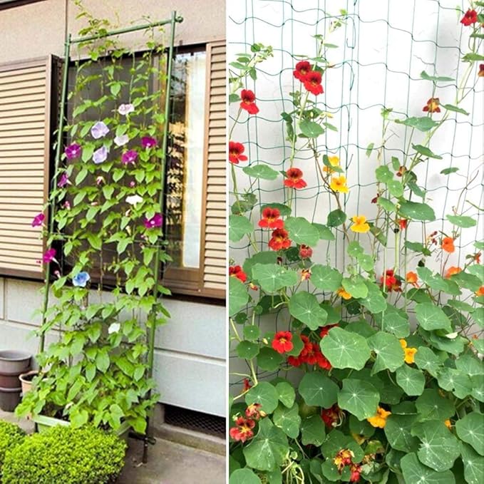 Pack of 2 Cucumber Tomato Trellis Netting, Heavy Duty Garden Netting Support for Climbing Plants, Pea, Grape, Bean, Fruit, Vegetables - 4" Mesh Size - 6Ft x 16.4Ft Zivisk