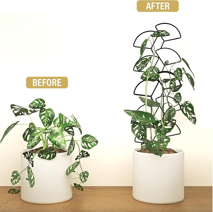 Indoor Plant Trellis for Climbing Plants, 3 Pack Stackable Garden Trellis for Potted Plants, Small House Plant Trellis for Vine Ivy Flower Plant Support Outdoor DIY Metal Trellis, Black IAGarden