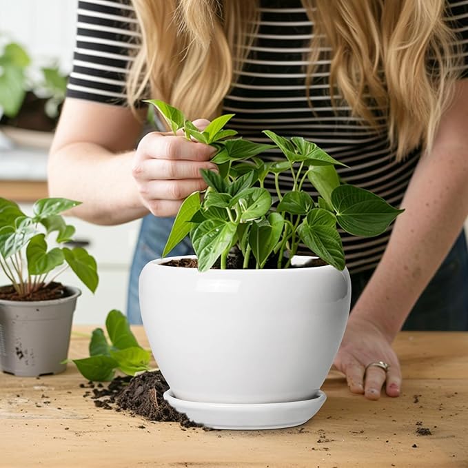 Ceramic Pot for Plants - 6 Inch Plant Pot for Succulent Plants, Glaze Modern Round Planter with Drainage Hole and Saucer, Gifts for Plant Lovers, Home Office Patio Room Decor, White Ceramicfor