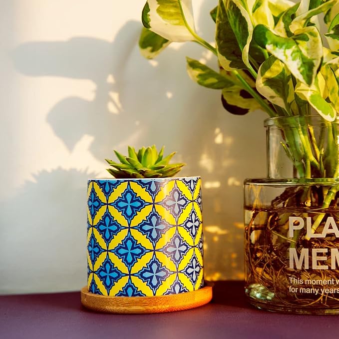 6 Pack Succulent Pots with Drainage Hole, 3 inch Ceramic Succulent Planter with Bamboo Tray, Bright Color Succulent Plant Pots for Cacti Succulent Soil Potting Mix Indoor/Outdoor Ascrafter