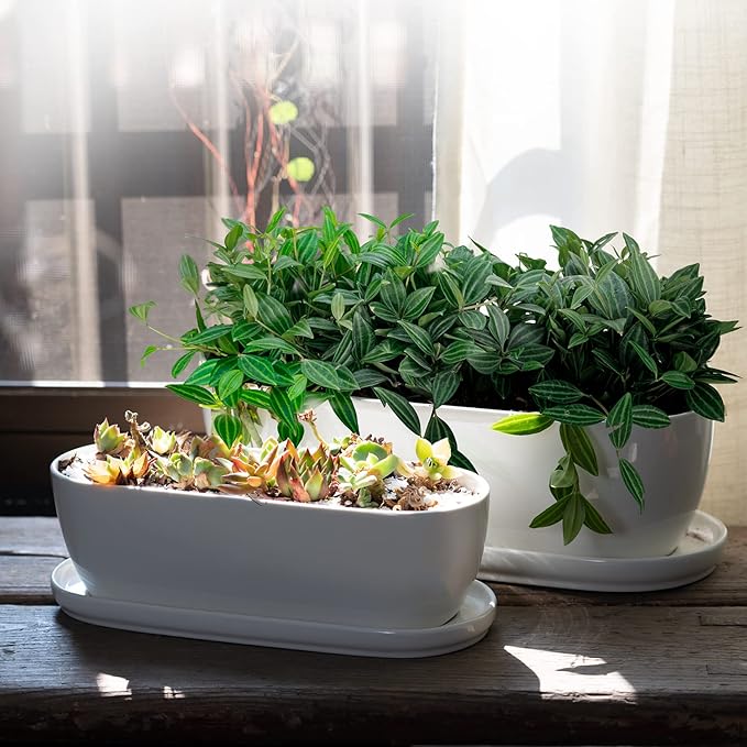 E-liu Ceramic Plant Pots, 11+14 inch, Set of 2, Planters with Drainage Holes Saucers and Mesh Pads, Indoor Flower Succulent Pot with Hole Mesh Pad, Gifts for Mom, Plants Not Included Creatingwarmandrefinedlifestylekitchenandhomeessentials