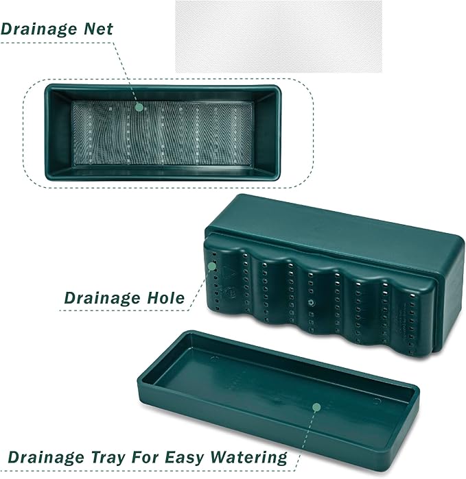 D'vine Dev 12 Inch Window Box Planter, Rectangle Plastic Herb Planter with Drainage Holes and Saucer, Indoor Succulent Cactus Vegetable Pot for Windowsill, Garden Balcony, Green, Set of 1, 76-X-C-1 DvineDevPlanterPotsandStand