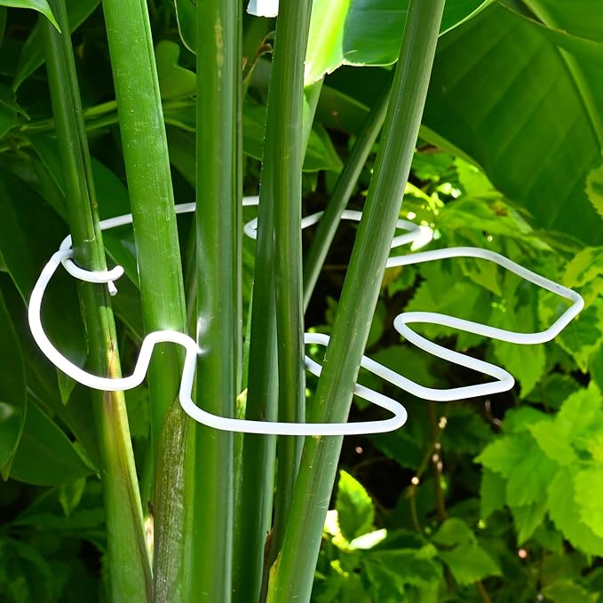 White Monstera Plant Stem Support - 5PCS 7.3x6.25in Durable Adjustable Garden Stake for Indoor Plants, Fishbone Cactus Holder, Innovative Leaf Clip Set, Ideal Tool for Healthy Plant Growth Yohsnor