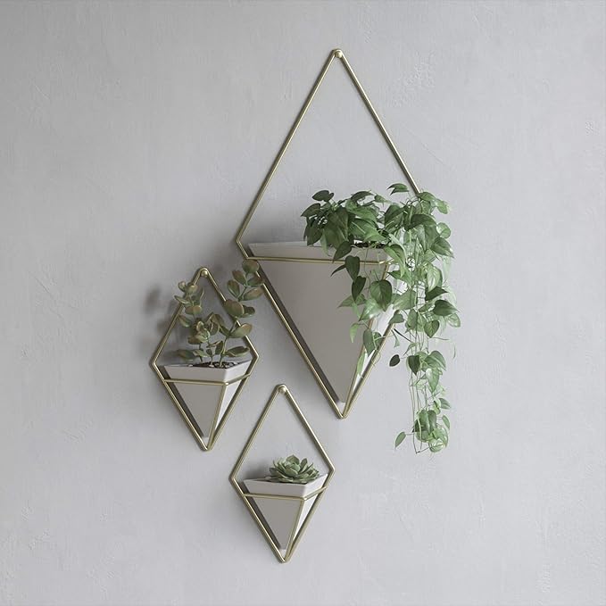 Umbra Trigg Hanging Planter Vase Wall Decor, Set of 2 Pots Containers for Succulents, Cactus, Faux Plants, and More, Small, White/Brass Umbra