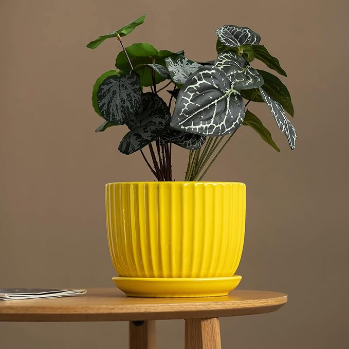 Ton Sin Ceramic Flower Pots,Yellow Plant Pots for Indoor Plants,4.1+5.1+6.5 inch Ceramic Plant Pots with Tray,Medium Indoor Planters for Aloe Cactus Decorative Pots with Drainage Hole (Set of 3) TonSin