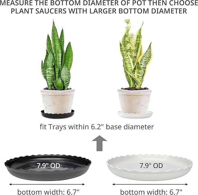 Plant Saucer, 7 Pack 8 10 12 14 15 Inch Durable Plastic Plant Trays for Pots, White & Black Round Plant Pot Saucers, Drip Tray for Indoor and Outdoor Garden (8", for 5 6 Inch Pot) Lifecouldbesointeresting