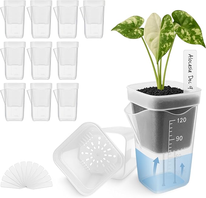 12 Pack 2" Mini Self Watering Pots for Indoor Plants,Small Clear Plastic Planters,Alocasia Corm Propagation,African Violet,Cutting,Seeding,Water Level Indicator,Drainage Hole,12 Plant Label Vandorelle