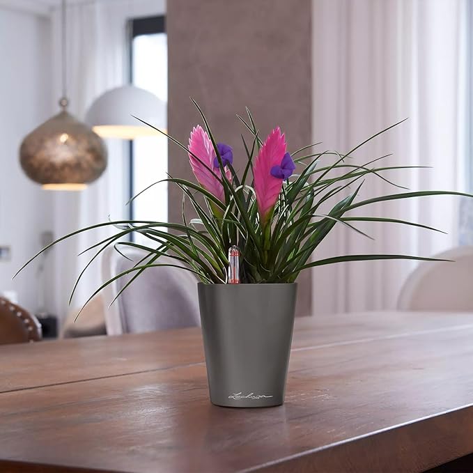 Lechuza MINI-DELTINI Charcoal Metallic, Self-Watering Small Indoor Planter, H5.1 L3.9 W3.9 in LECHUZA