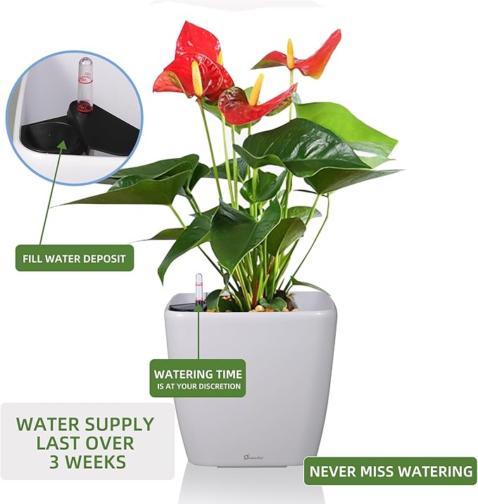 Dexceder 15x14 Self Watering Planter with Wheels Indoor Outdoor, Inner Mat Design, Thickened Large Floor Standing Flower Plant Pot with Water Level Indicator (White Matte) Dexceder