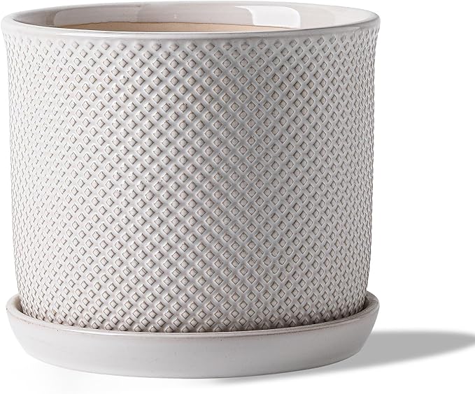 8 Inch Plant Pot: Ceramic Planter with Drainage Hole & Saucer Indoor Outdoor Plants - Flowerpot with Bonded Tray for Home Office - Beaded Embossed Style, Cream White Chubacoo
