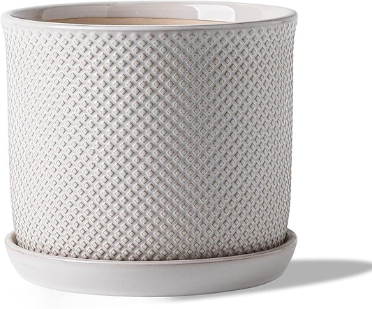 8 Inch Plant Pot: Ceramic Planter with Drainage Hole & Saucer Indoor Outdoor Plants - Flowerpot with Bonded Tray for Home Office - Beaded Embossed Style, Cream White Chubacoo