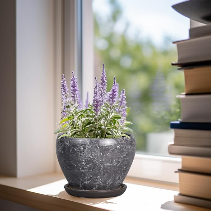 Ceramic Planter - 6 Inch Plant Pot with Drainage Hole and Saucer, Succulent Pot Glaze Round Flower Pot for Indoor Outdoor Plants, Gray Ceramicfor