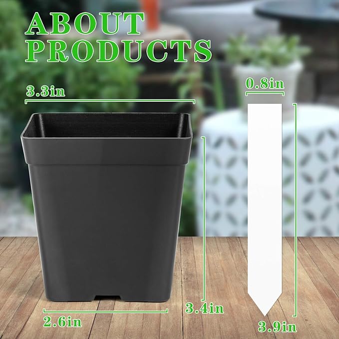 June Fox Square Nursery Pots 3.3 Inches Flexible Plastic Seedling Pots Square Pots for Plants, Succulent, Flower, Pack of 60, with 60 PCS Plant Labels June+Fox