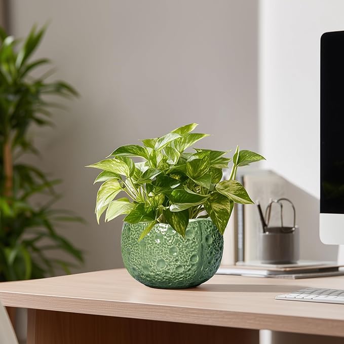 6 Inch Plant Pot - Orchid Pot with Drainage Hole, Ceramic Planter for Indoor Outdoor, Decorative Plant Pots, Modern Round Unique Flower Pots, Living Room Decor, Gifts for Women Men, Green Thirtypot