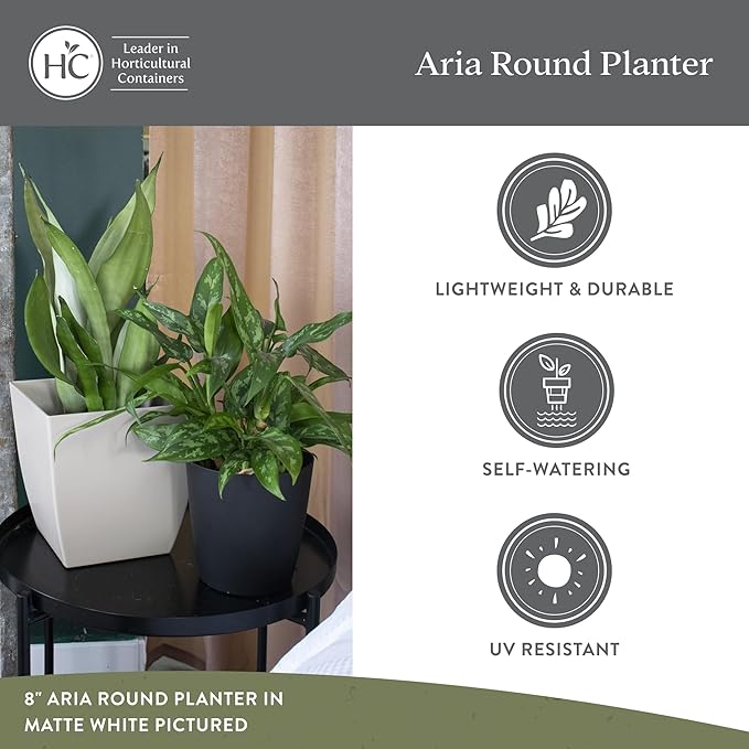 The HC Companies Aria Round Self-Watering Pot - Lightweight Plastic Planter for Herbs & More - Durable Plant Pots for Indoor Plants & Outdoor Plants (12" Glossy Avocado, Pack of 2) TheHCCompanies