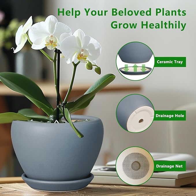 Ceramic Pot for Plants - 8 Inch Plant Pot Indoor with Drainage Hole and Saucer Decorative Planter for Outdoor Plants Modern Flower Pot for Home Decor Garden Gray Ceramicfor