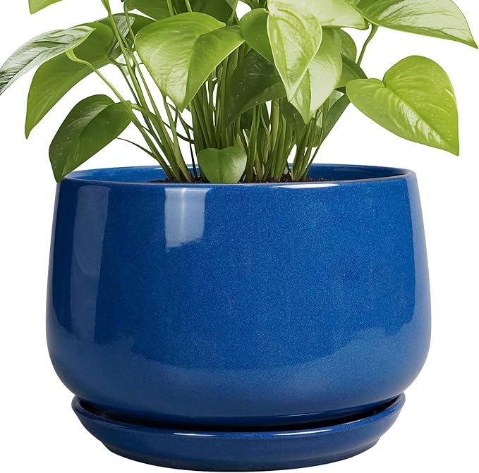 G EPGardening Ceramic Pots for Plants, 9 Inch Modern Round Planter with Drainage and Tray Indoor Outdoor for Flower, Patio Decor, Housewarming Gifts, Blue GEPGardening
