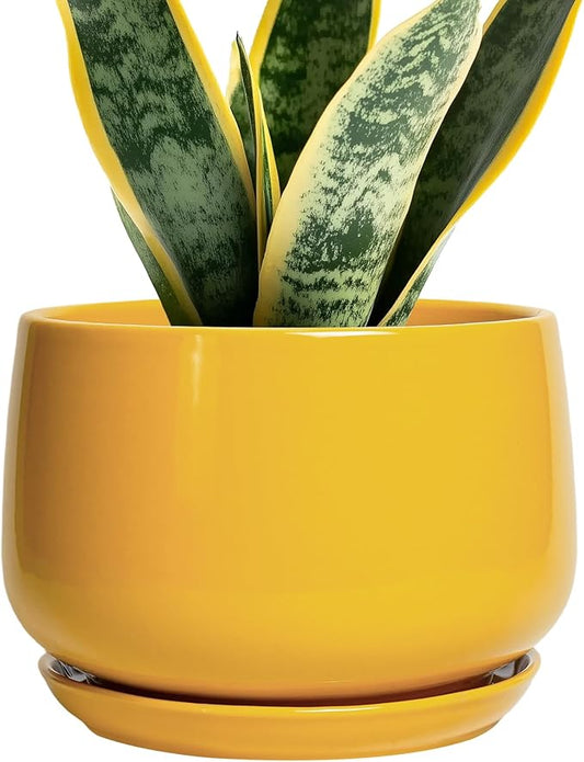G EPGardening Ceramic Pots for Plants - 7 Inch Plant Pot with Drainage Hole and Saucer, Modern Ceramic Planter for Indoor Outdoor, Round Flower Planter, Gifts for Plants Lovers, Home Decor, Yellow GEPGardening