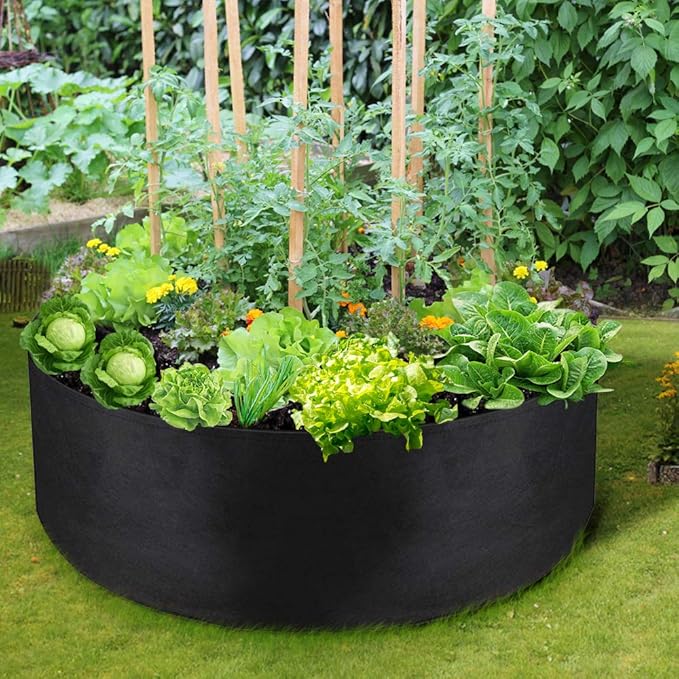 LBTING 2Pcs 50 Gallon Plant Grow Bags, Fabric Raised Planting Bed Heavy Duty Non-Woven Fabric Planter Pots for Garden Vegetables Flowers LBTING