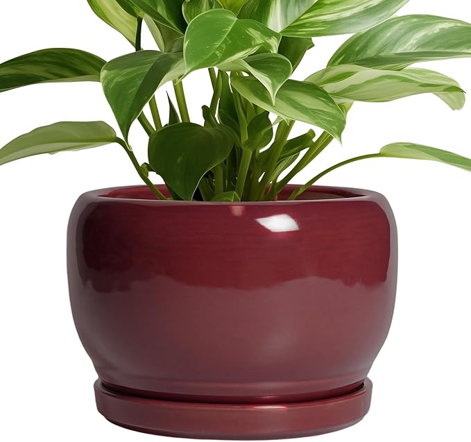 SQOWL Ceramic Planter - 8 Inch Plant Pot with Drainage Hole and Saucer, Round Planter for Indoor Outdoor Plants, Modern Decorative Flower Pots, Home Decor, Plant Lover Gifts, Red SQOWL