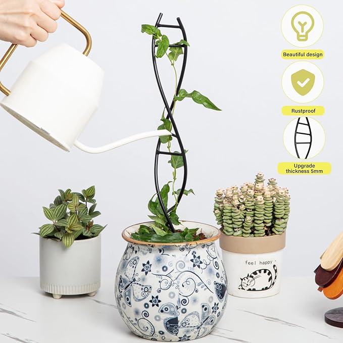 DNA Spiral Plant Trellis Indoor - Durable Metal Trellis for Potted Plants, Perfect for Small Houseplant Pots, Ideal for Ivy and Pothos, Space-Saving Vertical Support for Climbing Growth Goooxim